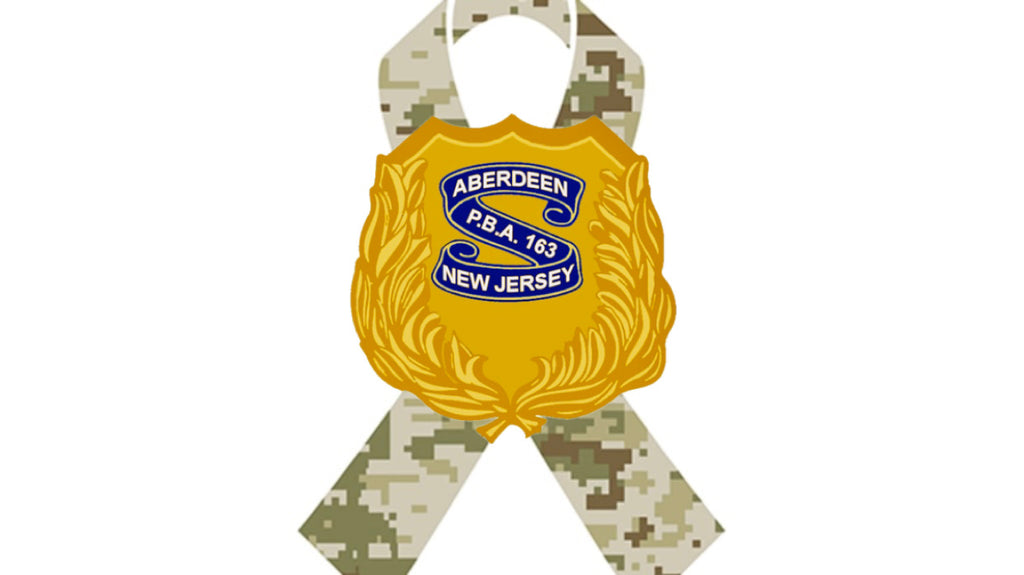 PBA 163 SALUTE TO SERVICE HOODIE